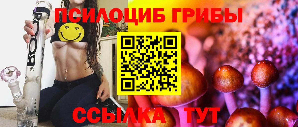 Псилоцибиновые грибы Cubensis  Вход с VPN  Тихорецк 